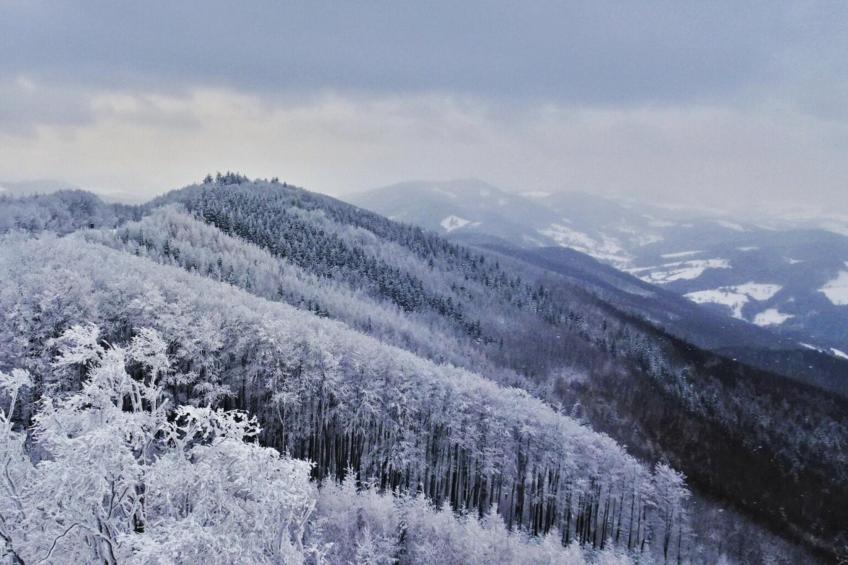 Wienerwaldblick - foto 7