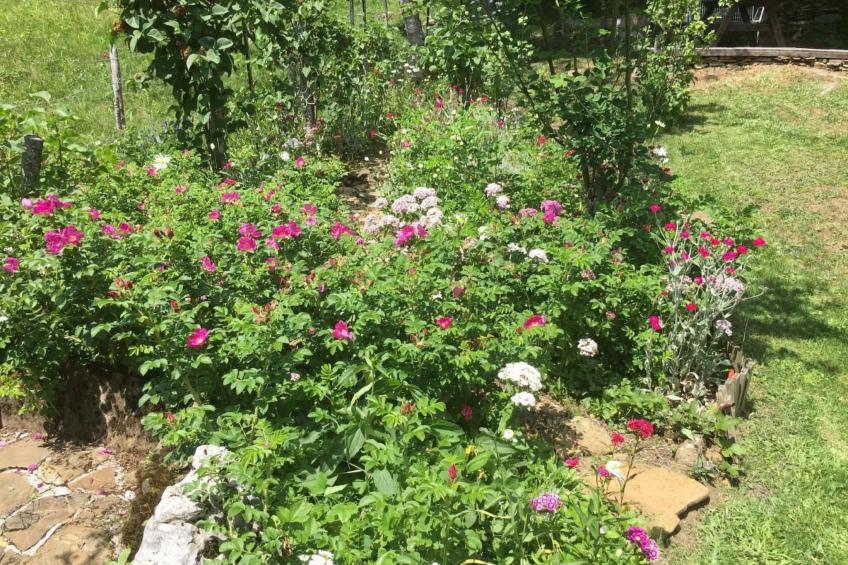 Maiensäss Romantica - foto 31