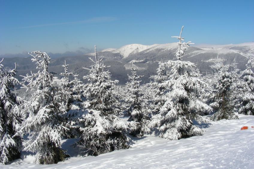 Horní Mísečky - foto 37