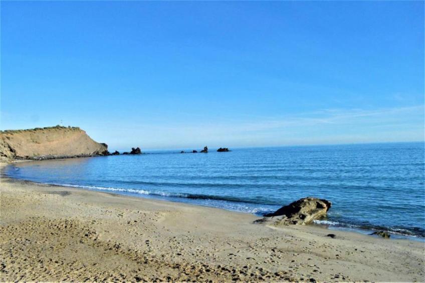 Cristallines N°89 - M2M6 - foto 27