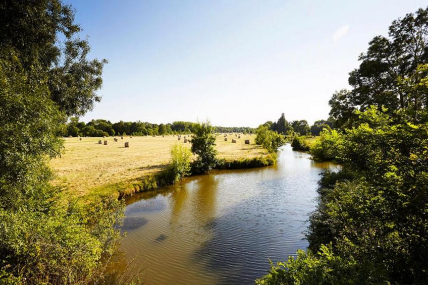 Maison à Saint Maixent sur Vie - foto 11