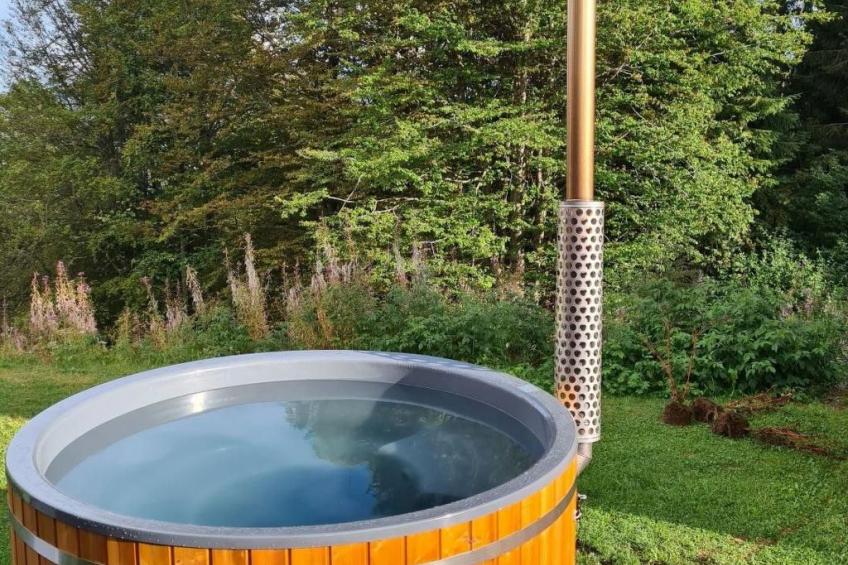 in Feldberg (Schwarzwald) mit Privatem Pool - foto 11