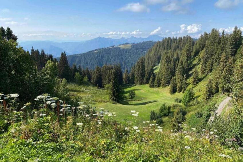 Les Portes du Grand Massif 9 - foto 30