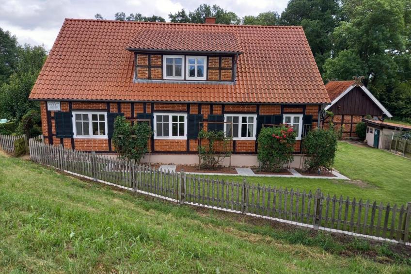 Haus Elbrose inmitten von Rosen mit Elbdeichzugang - foto 8