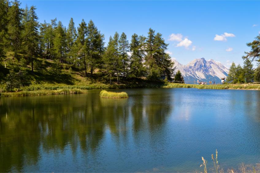 Appartamento Bellevue Richardette - foto 22