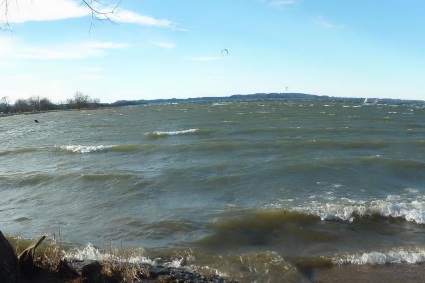 Haus Monika - foto 31