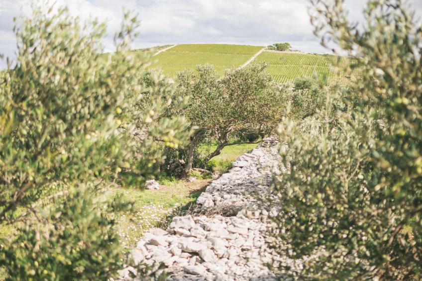 Adriatic Heritage Glamping No 1 - foto 38