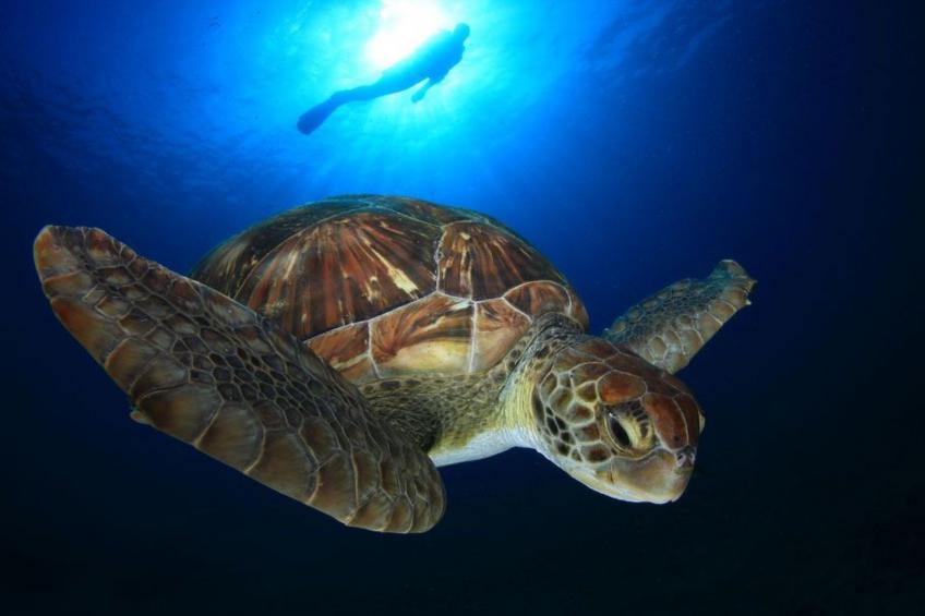 "Aquarius" mit Wasserblick - foto 11