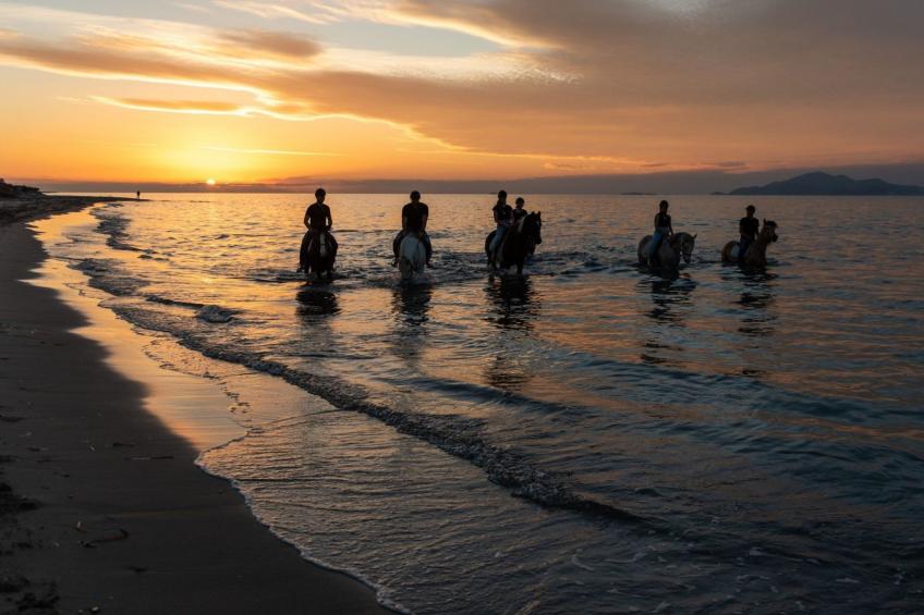 in einem Olivenhain in Strandnähe - foto 18