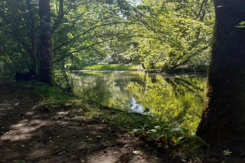 Le petit Nichoir - foto 23