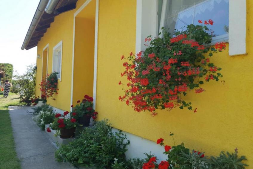 Apartment Čeliković - One Bedroom Apartment with Balcony - foto 17