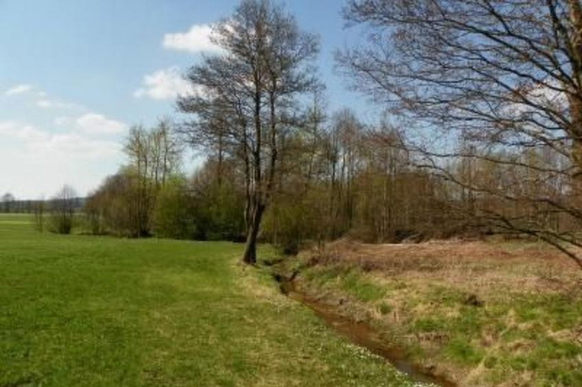 am Weißenstädter See - foto 19