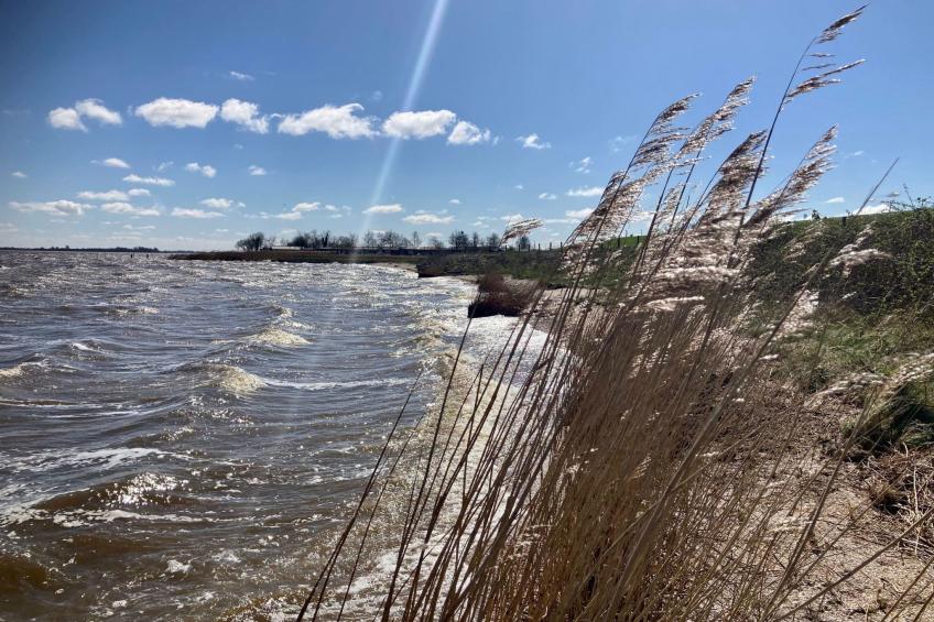 155 Joke am Deich - foto 31