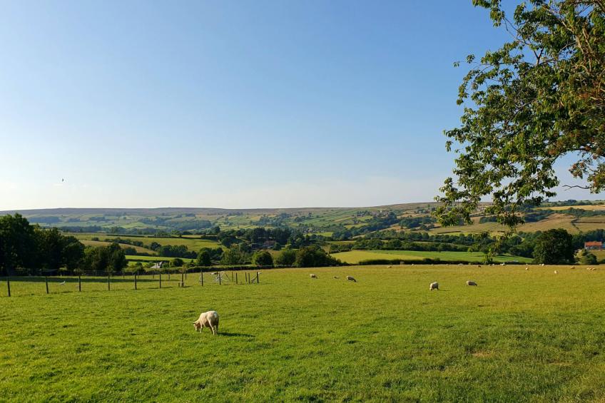 Ingleside Cottage - foto 20