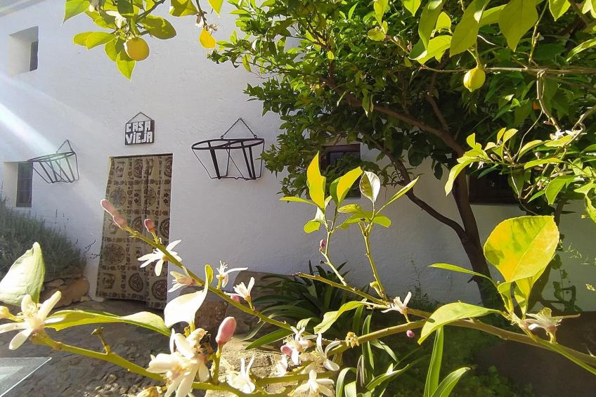 La Casa Vieja - foto 14