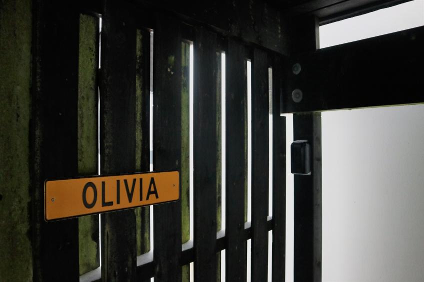 Huisje Winterberg "Olivia" - foto 25