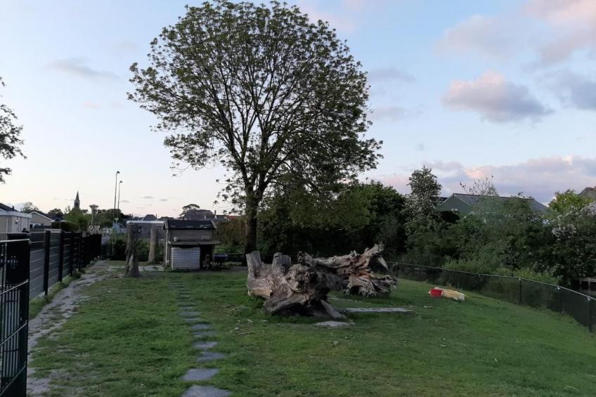 Gemütliches Ferienhaus - foto 18