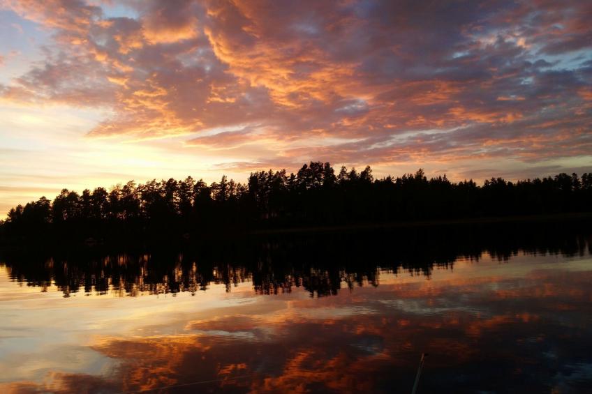 Saxarsviken - foto 33