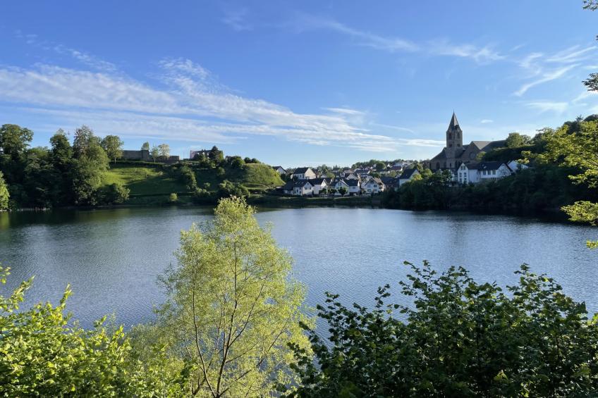 Chalet mit Garten, Grill und Terrasse - foto 25