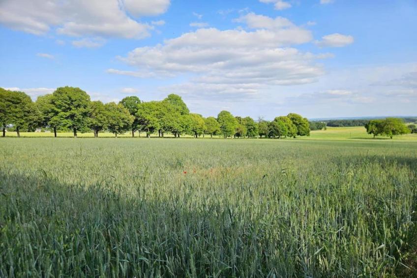 Maison de vacances - Sossay - foto 25