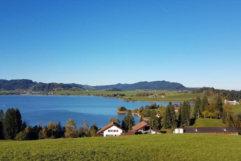 Biohof Tanngarten - foto 2