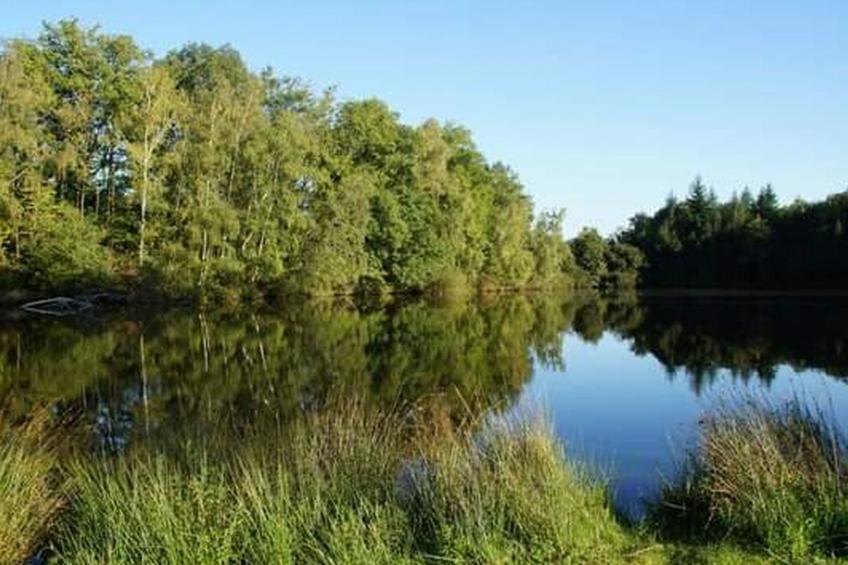 Chalet B10 Yemanisi in der Dordogne - foto 70