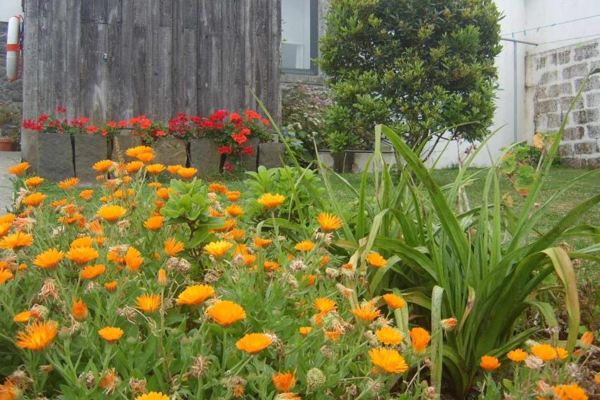 Tradicampo-Ferienhaus A Arribana - foto 22