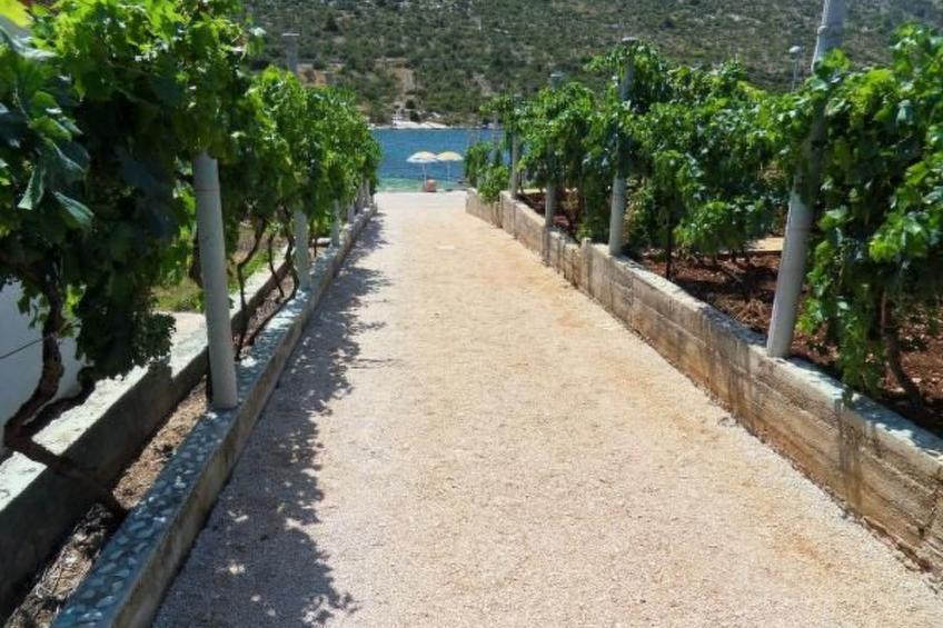 mit Blick auf das Wasser - foto 5