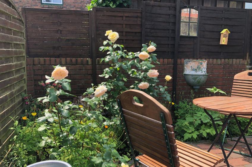 Altstadthus - gemütliches Ferienhaus mit romantischem Garten - foto 25