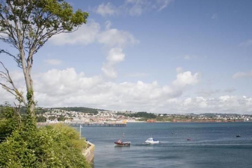 Wunderschönes Ferienhaus in Torquay - foto 12