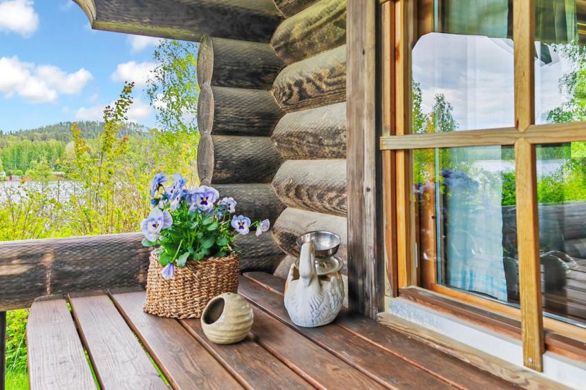 Heinäsorsa - foto 3