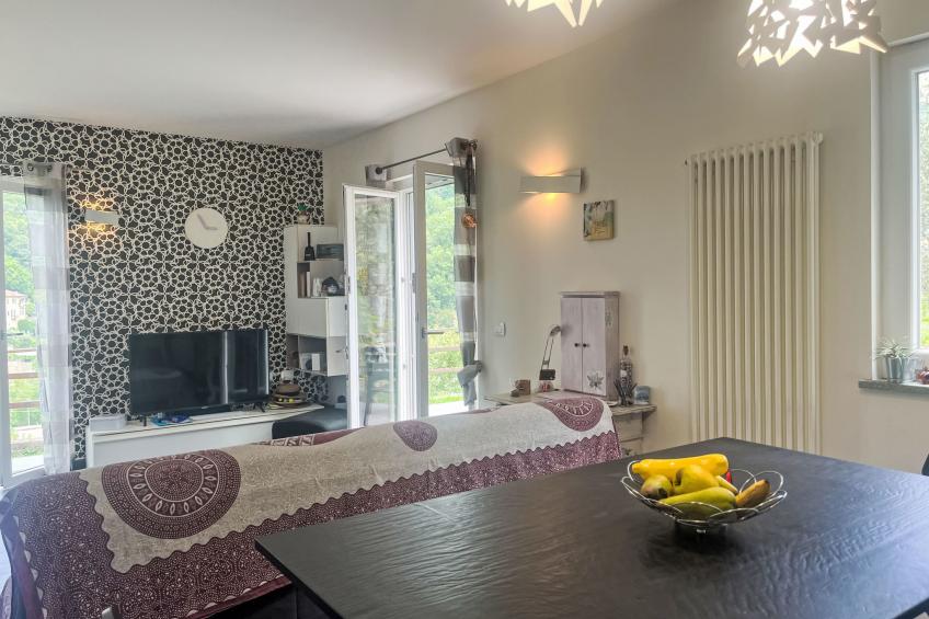 Le radici dell´ulivo - foto 11