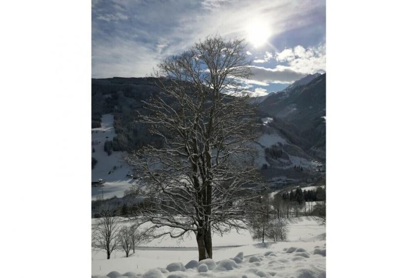 246465 - foto 25