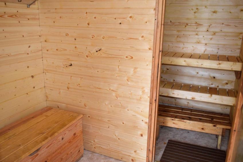 Koli, metsälä - foto 18