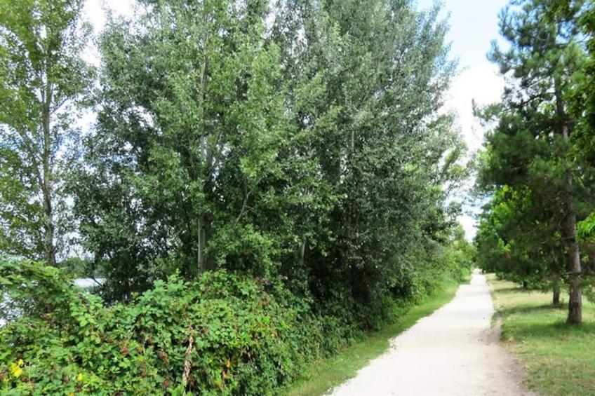 Appart'Hôtel Mer & Golf City Bordeaux Lac - foto 14