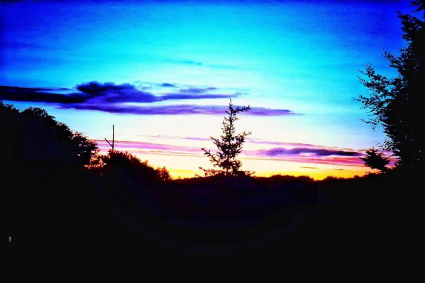 Bayerischer Wald - foto 36