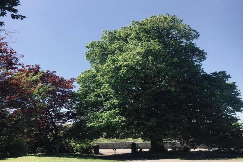 La Maison au Ruisseau - foto 38