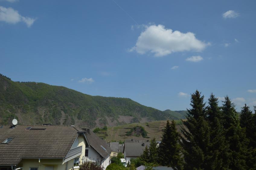 Gruppenhaus Moselblick - foto 32