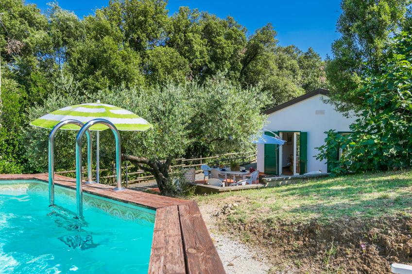 Podere gli Olivi - foto 4
