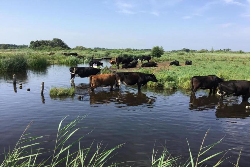 Waterpark Belterwiede - foto 20