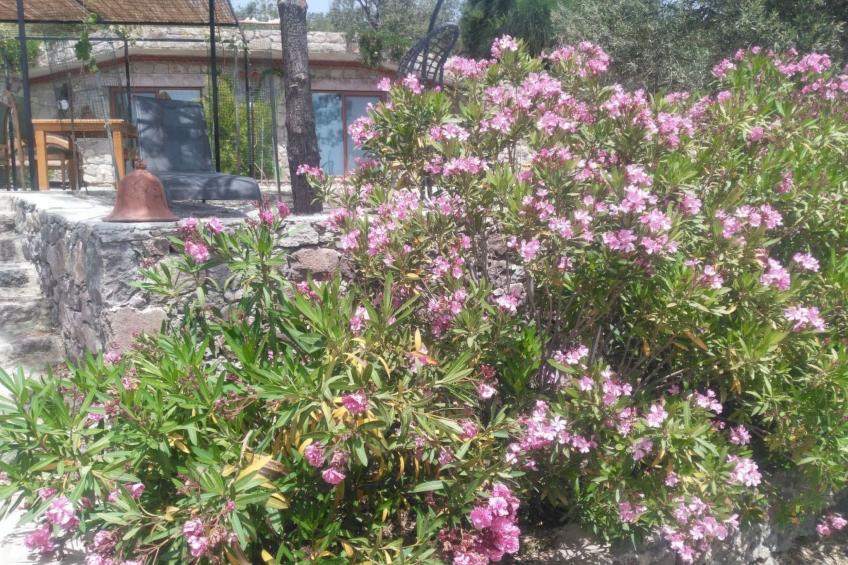 Assos Sivrice Gästehaus - foto 26