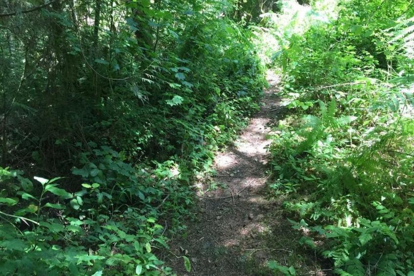 Gemütliche Hütte mit Wi-Fi, Kamin und Whirlpool - foto 19