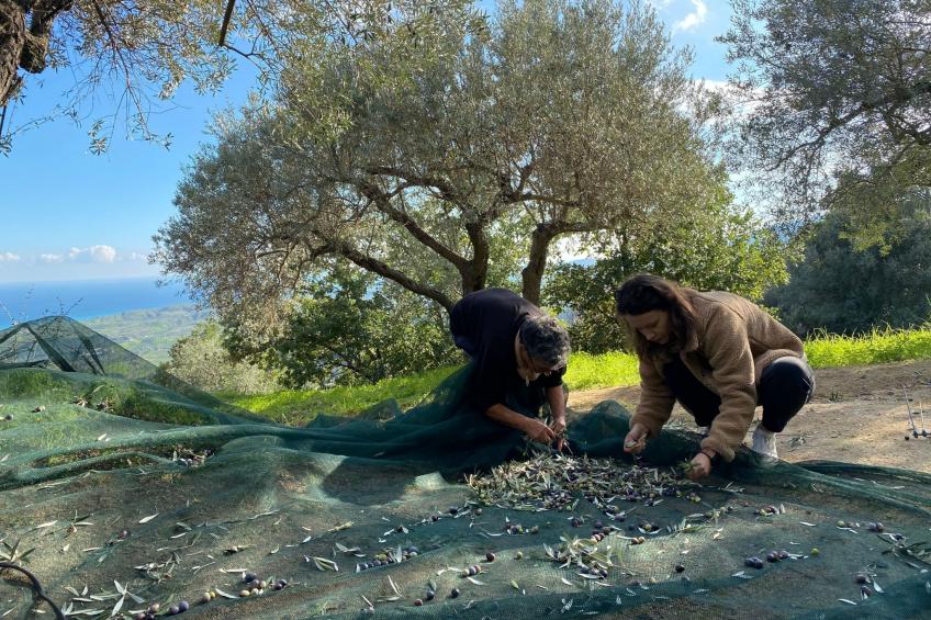 Wohnung Haus Aphrodite - foto 34