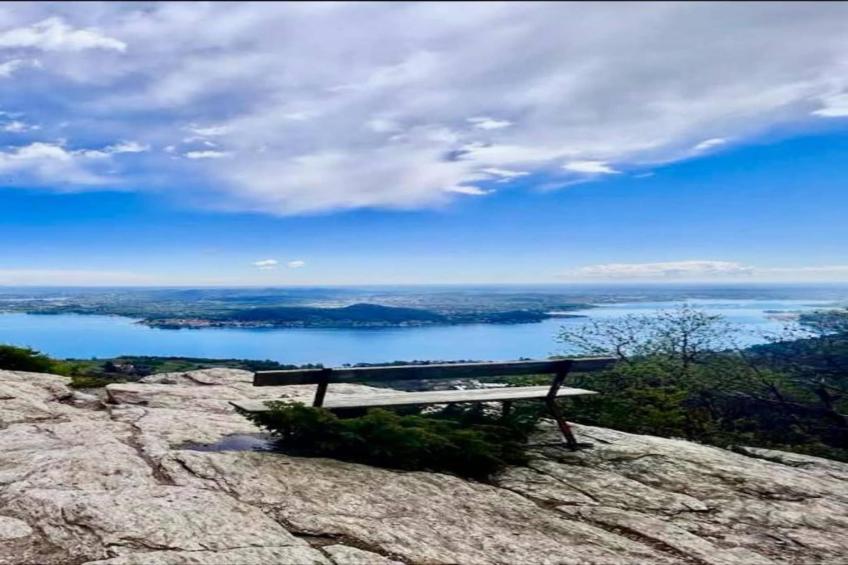 Lavinia's Apartment - foto 24