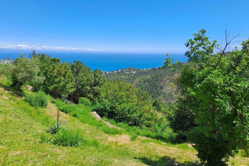 Nidino del Gufo - foto 19