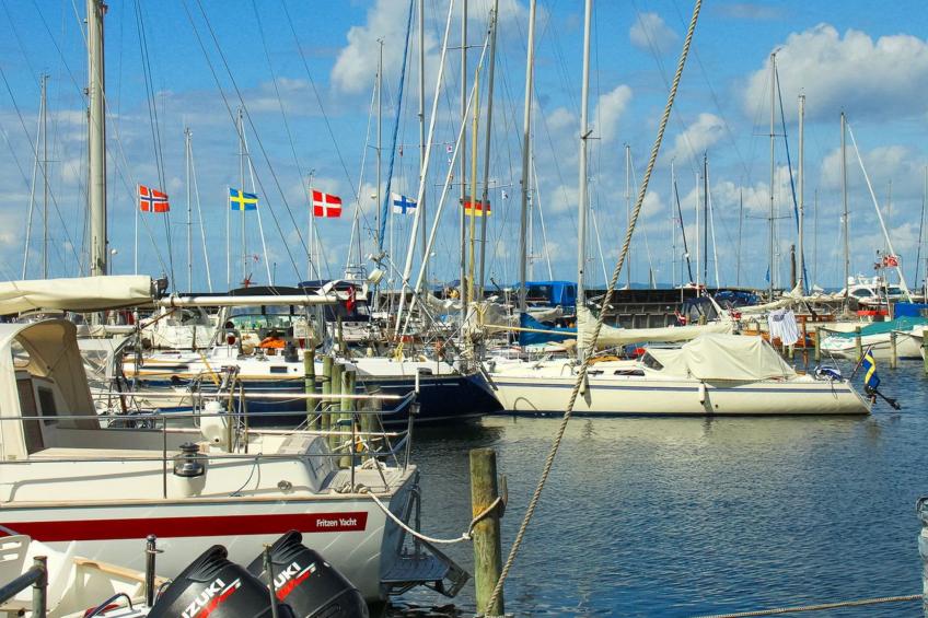 "Cedomir" - 625m from the sea in Sealand - foto 3