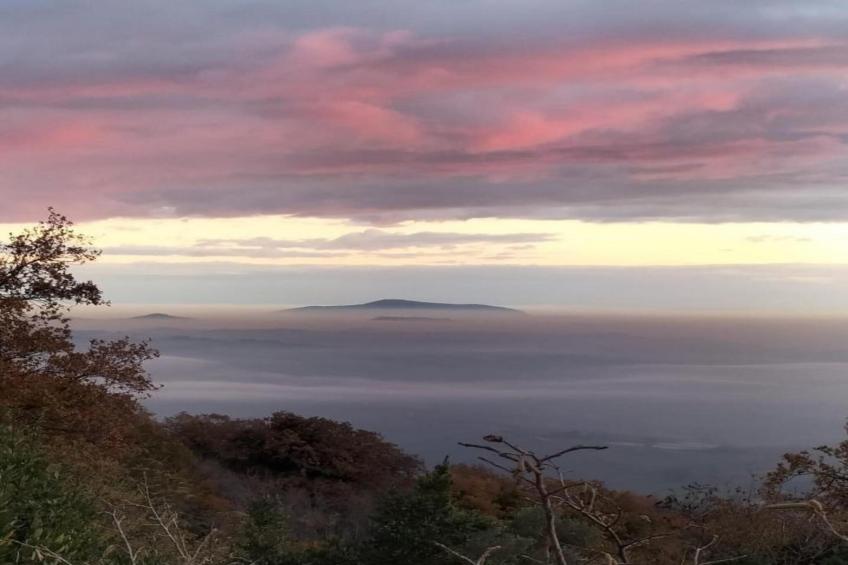 Binnella 18 - foto 37