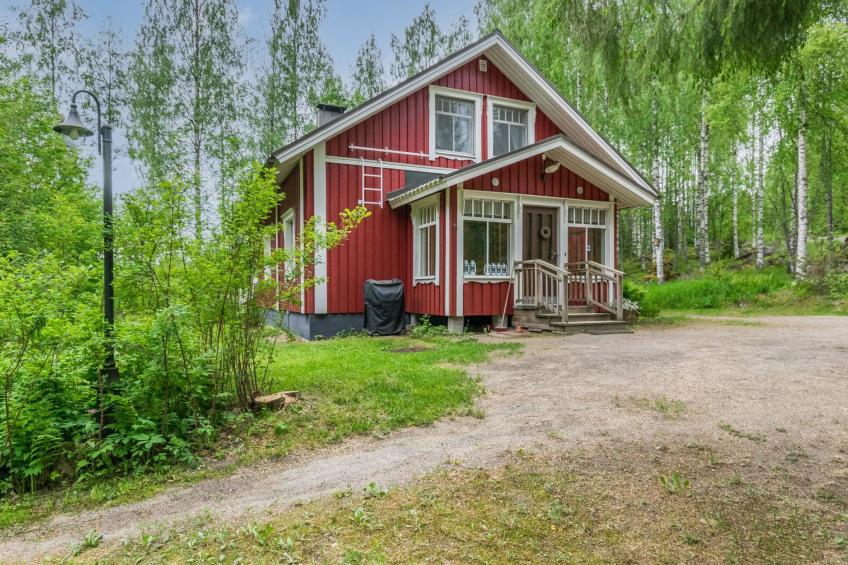 Tervapääsky - foto 31