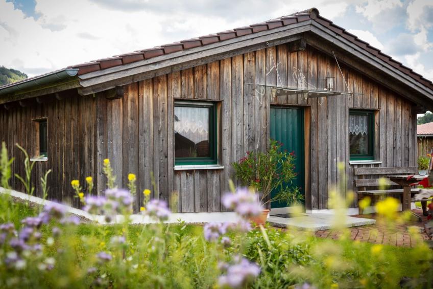 Zillendorf 2 - foto 12