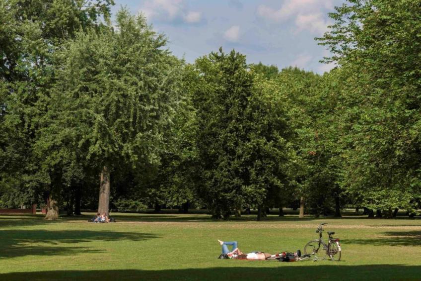 NR 3 - foto 31